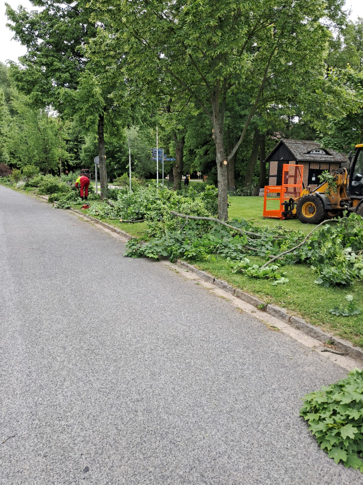 20250522 Bauhof Arbeiten Baumverschnitt 1