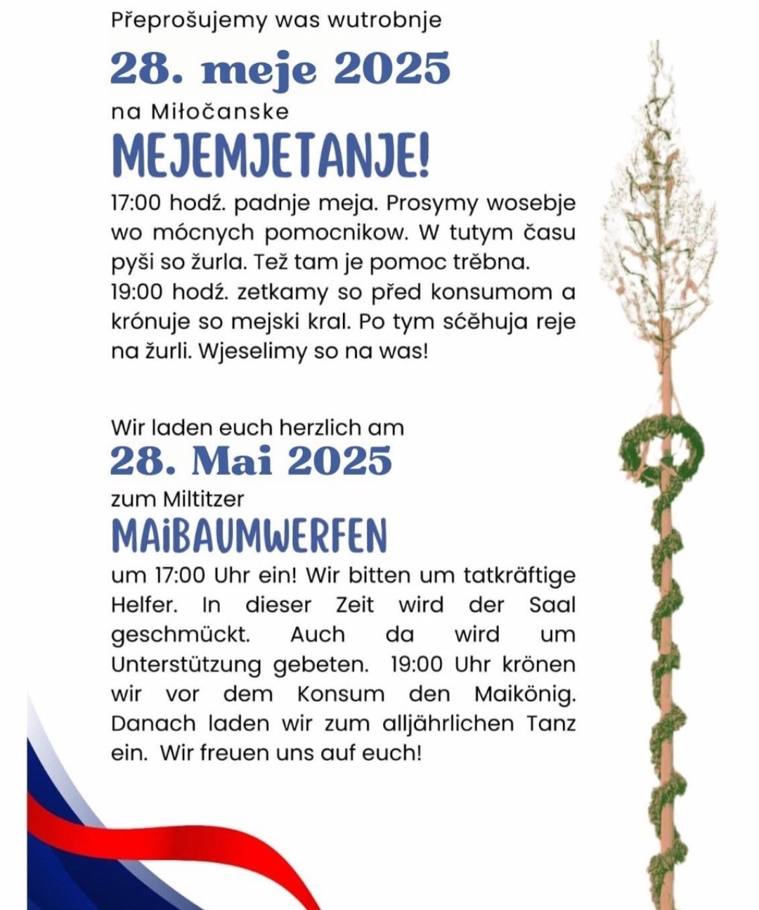 2025 05 28 Maibaumwerfen Miltitz