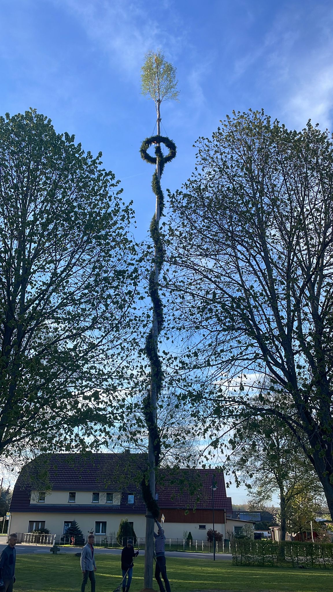 2026 05 Maibaum Piskowitz Foto CS