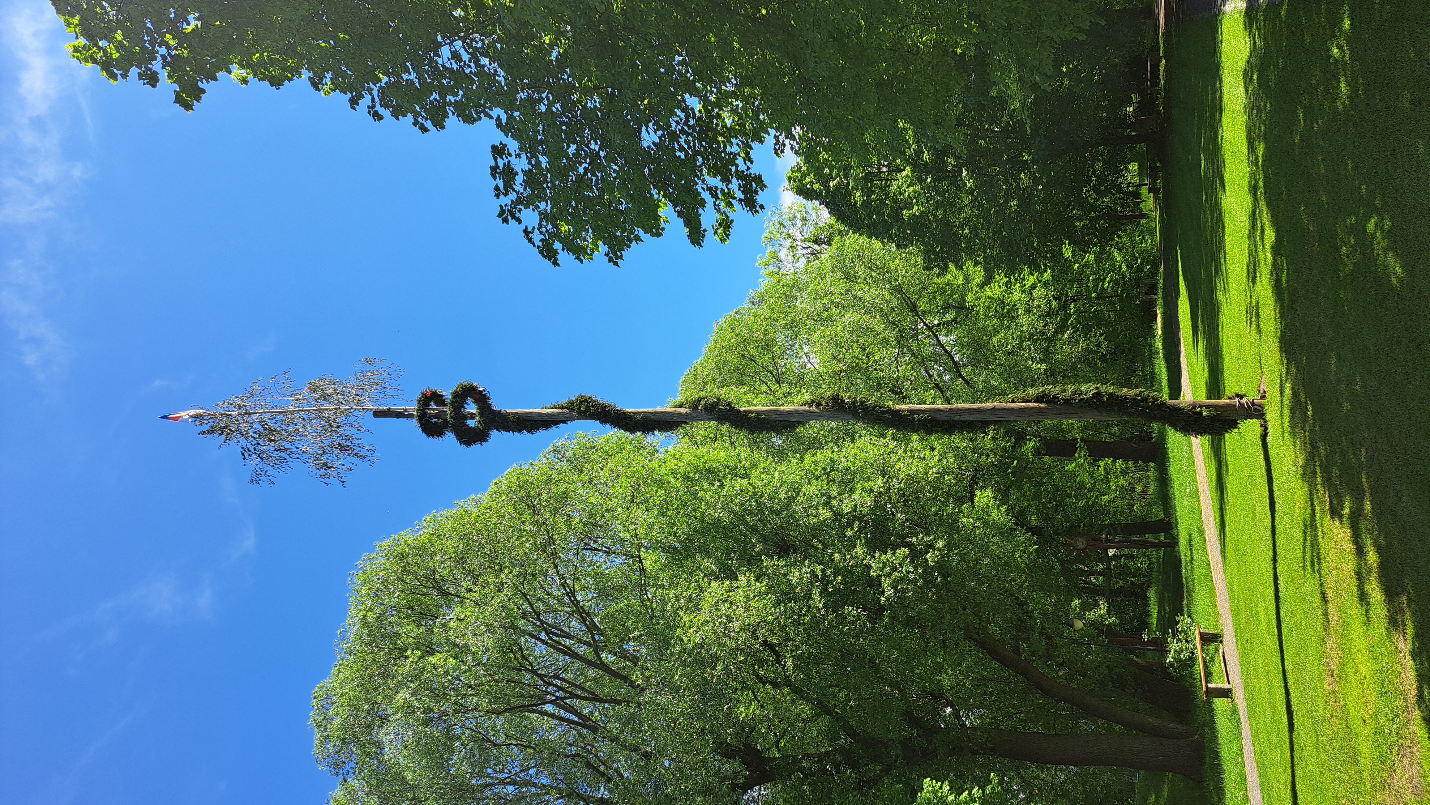 20250506_Maibaum_Nebelschütz_
