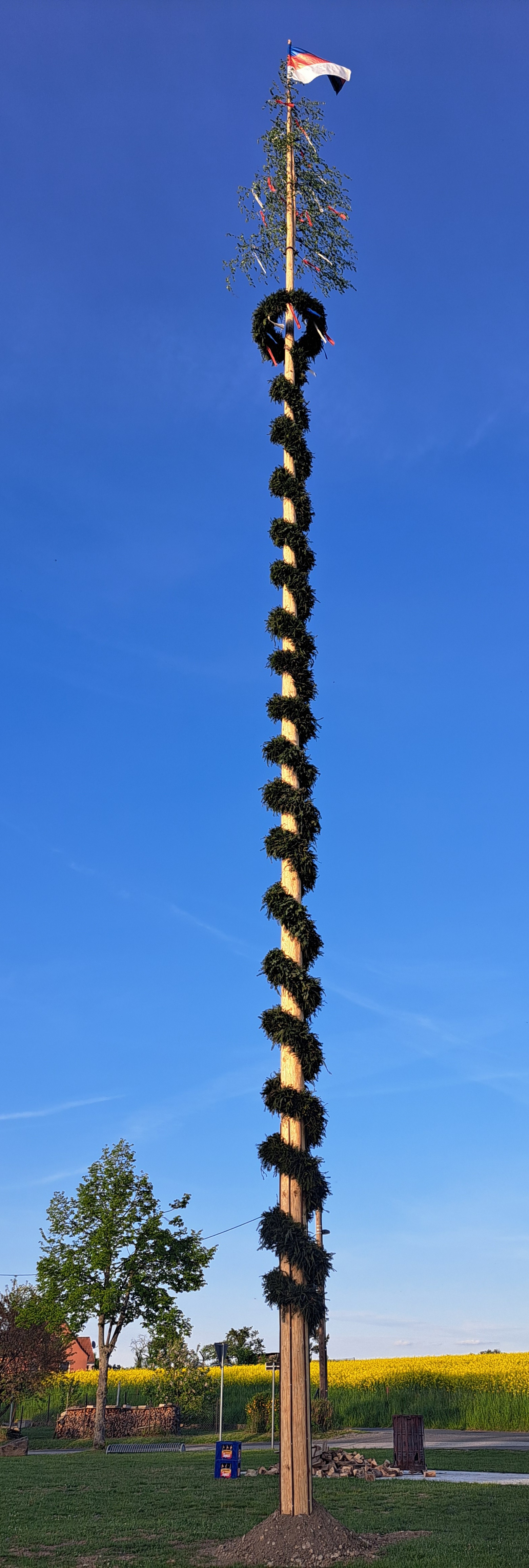 2025_04_30_Maibaum_Wendischbaselitz_