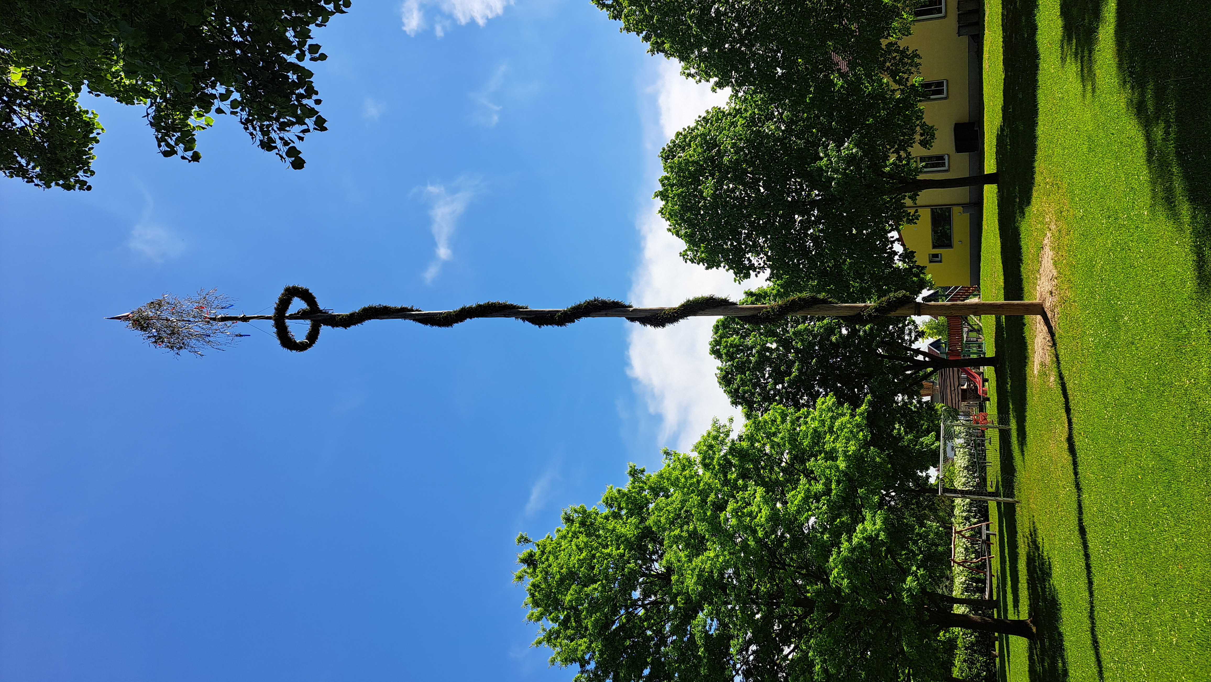 20250506_Maibaum_Piskowitz